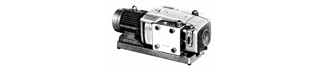 Elmo Rietschle CL 25 DV