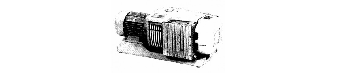 Elmo Rietschle CL 40 DVVL