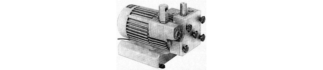 Elmo Rietschle TL 12 DV