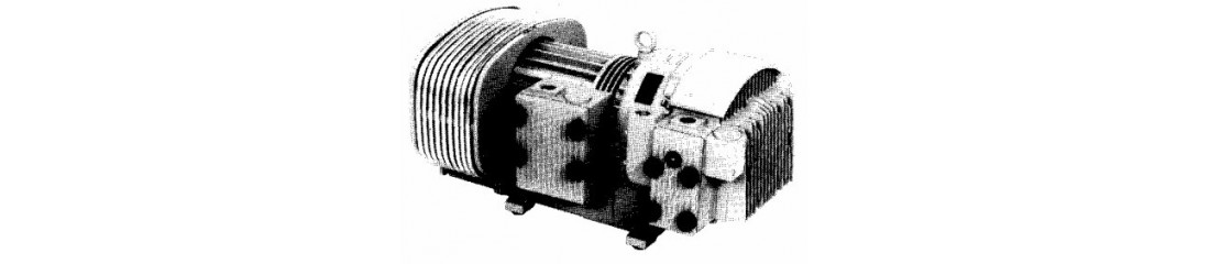 Elmo Rietschle TR 41 D